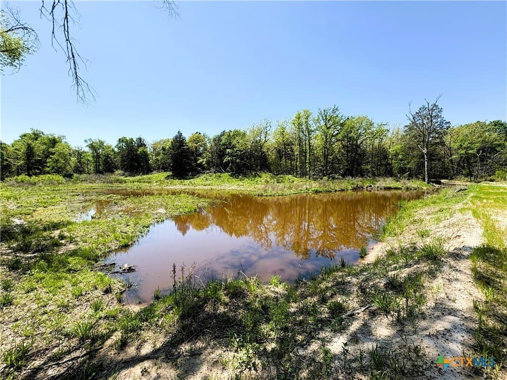 21 acres in Limestone County featured view