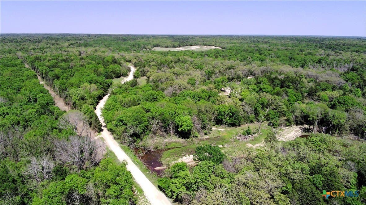 21 acres in Limestone County gallery image 4