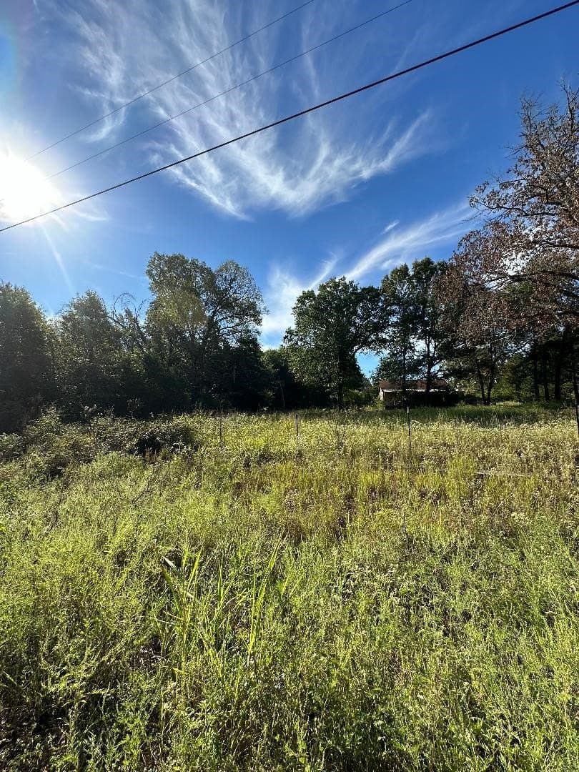7.11 acres in Lamar County gallery image 2