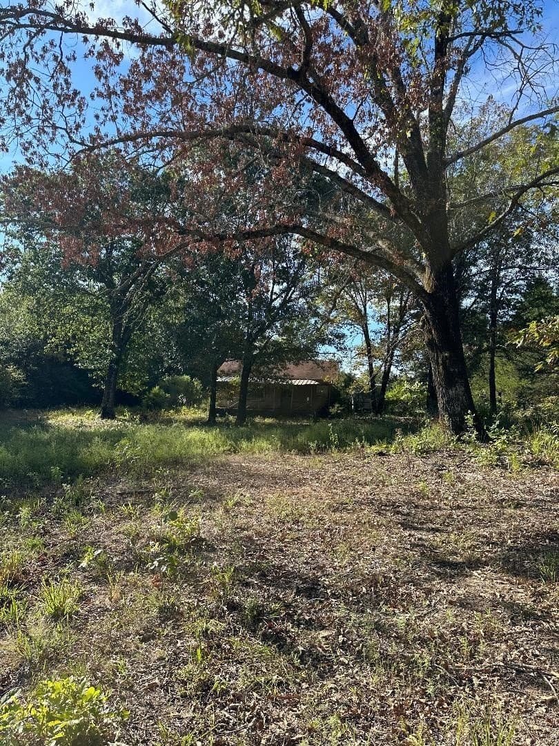 7.11 acres in Lamar County - photo 8