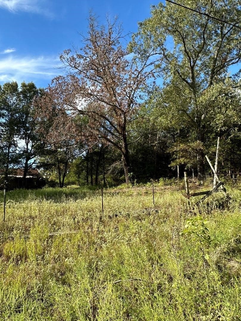 7.11 acres in Lamar County gallery image 3