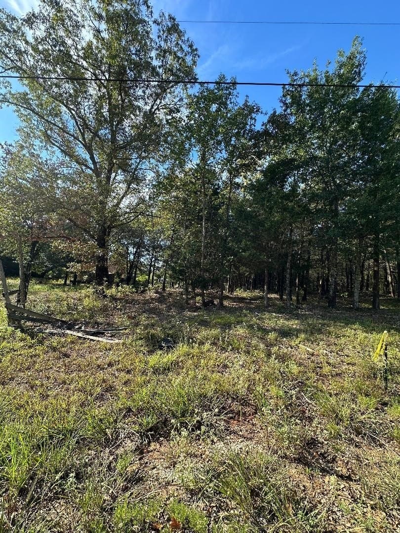 7.11 acres in Lamar County - photo 6