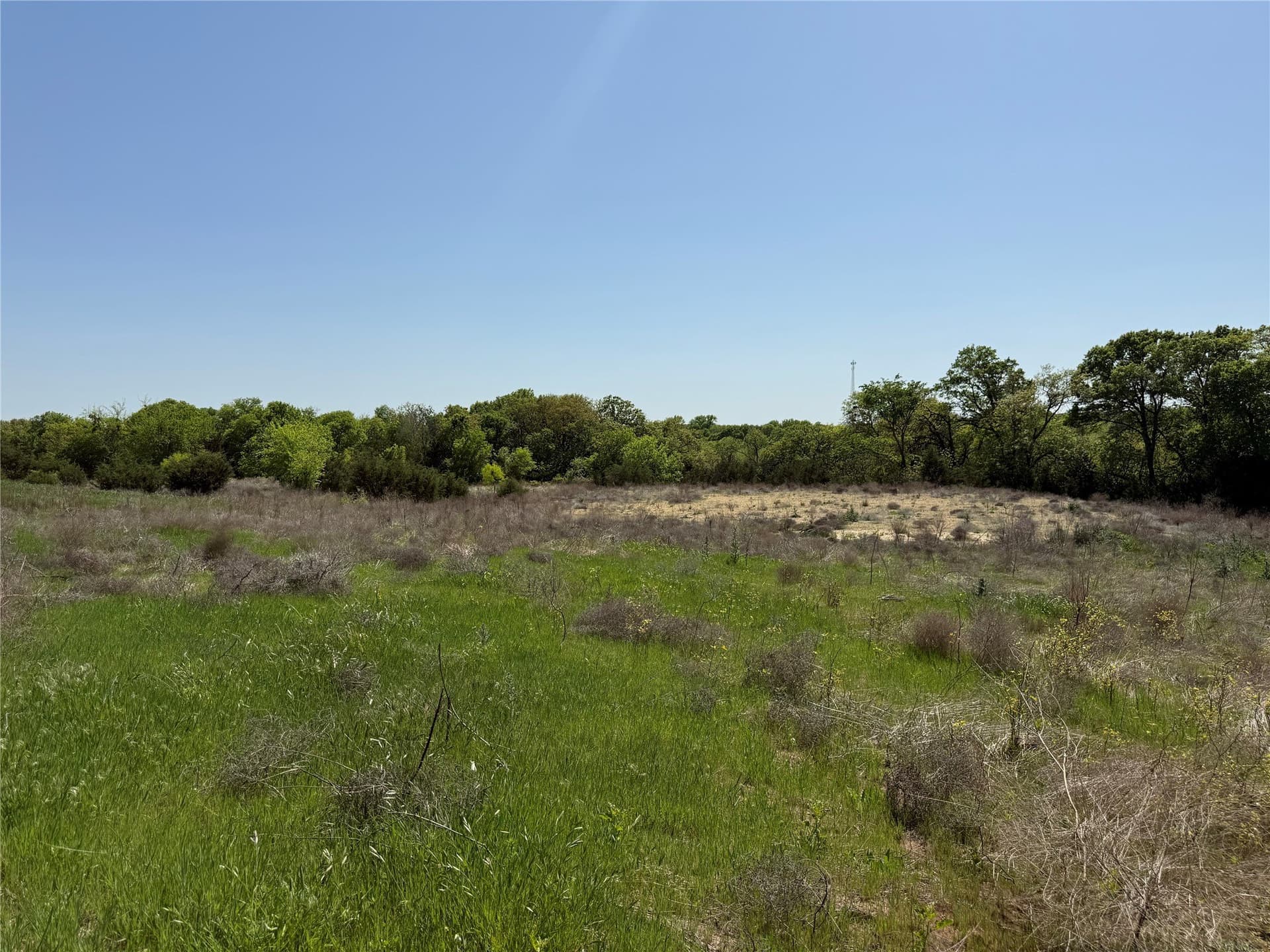 2.18 acres in Parker County gallery image 3