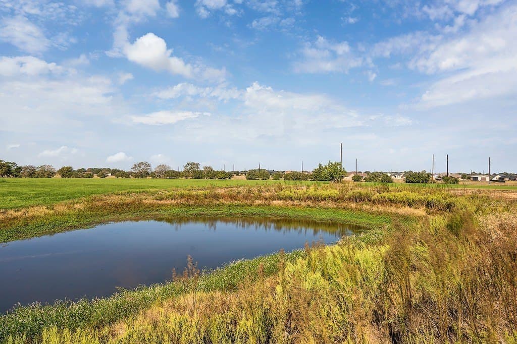 22.19 acres in Austin County - photo 2