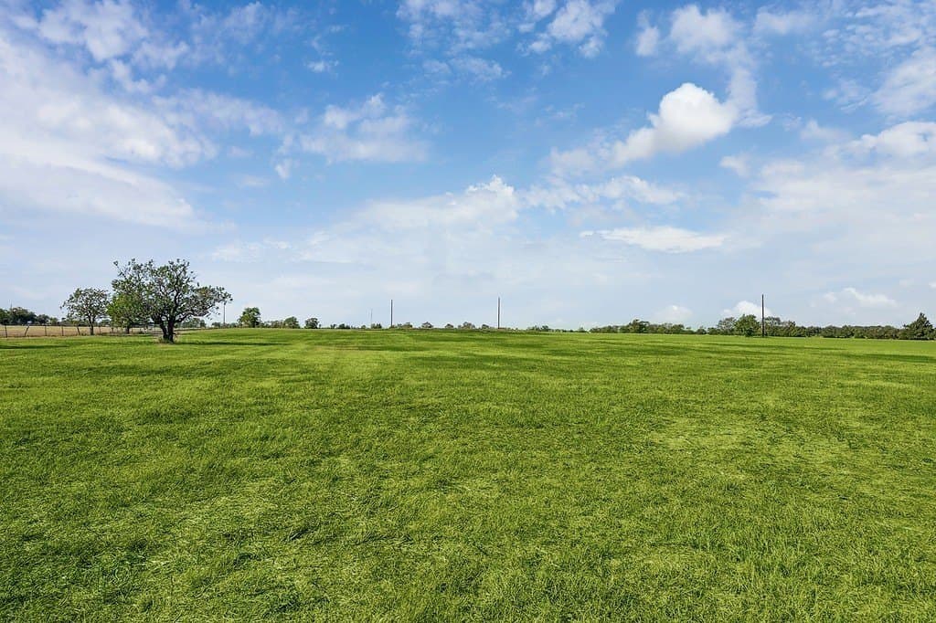 22.19 acres in Austin County - photo 4