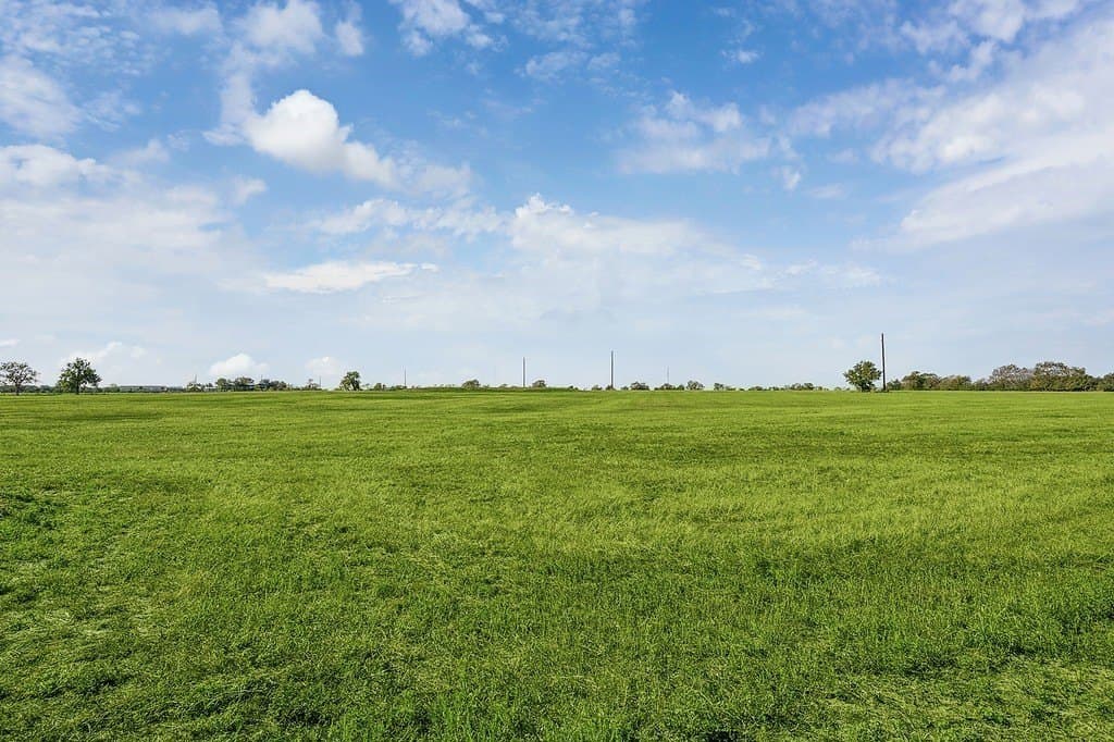 22.19 acres in Austin County - photo 5