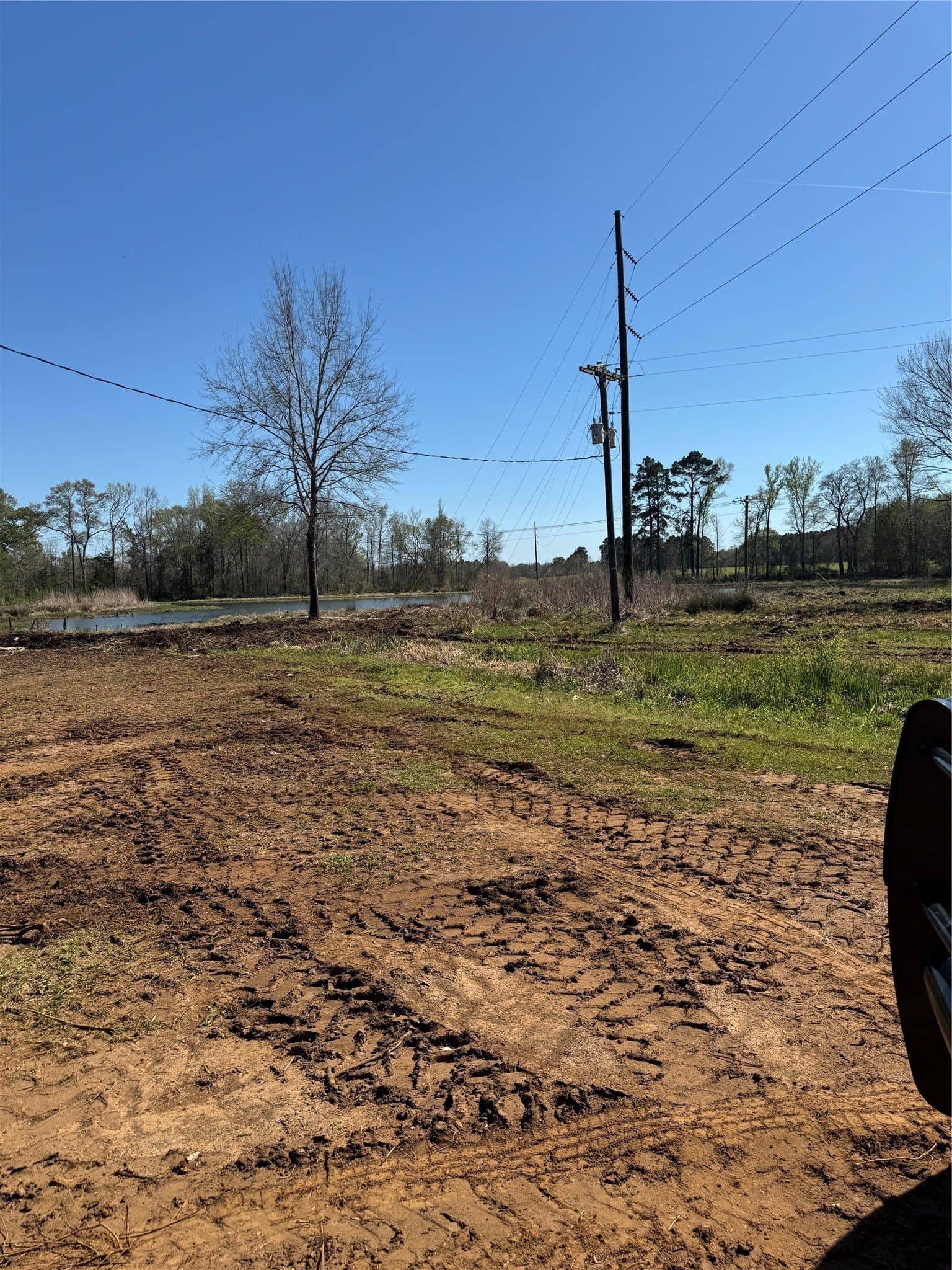 40 acres in San Augustine County - photo 11