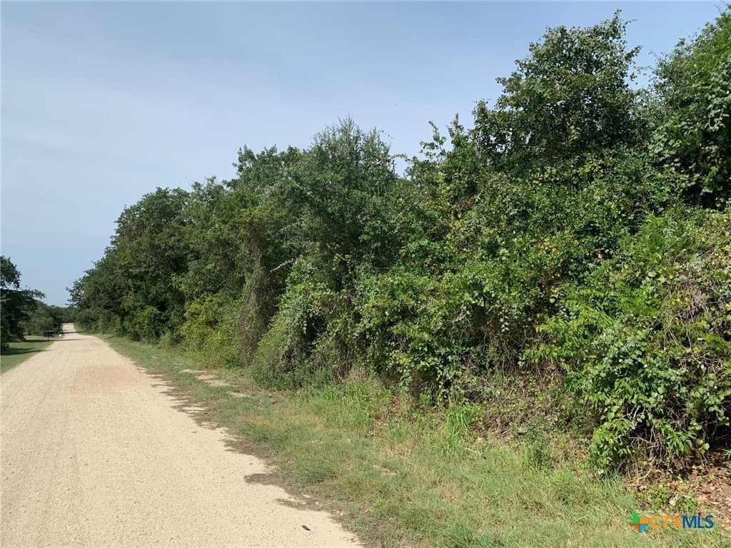 74 acres in Falls County gallery image 3