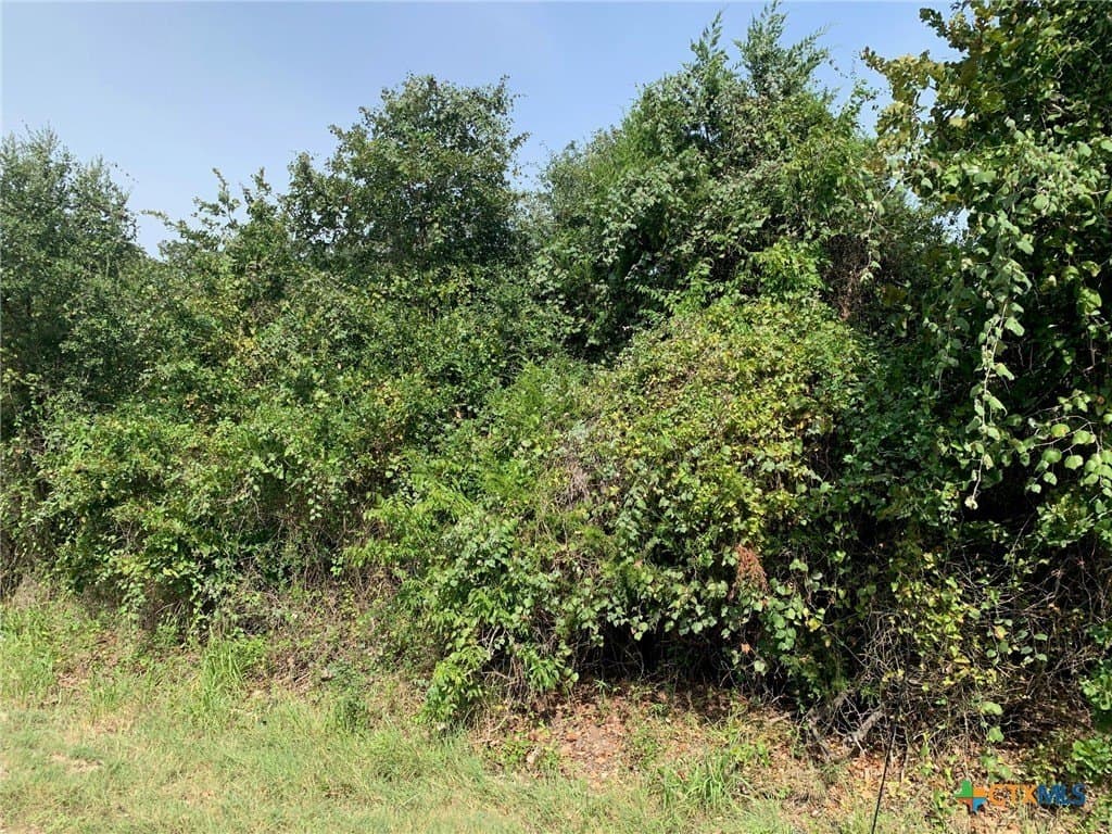 74 acres in Falls County featured view