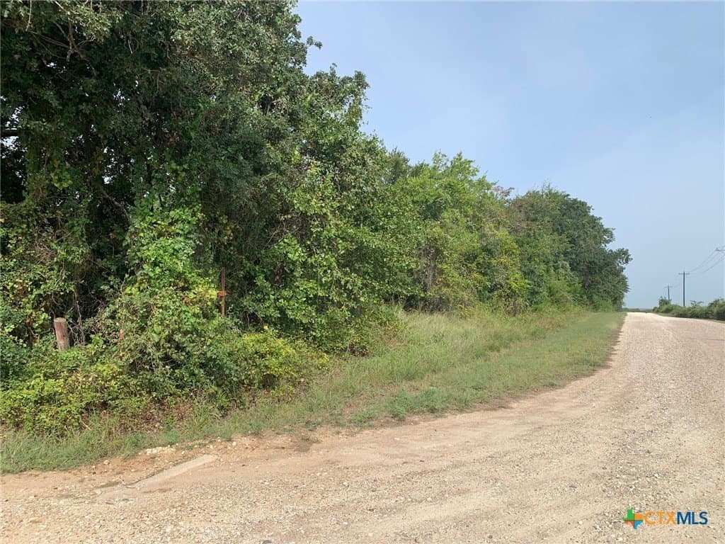 74 acres in Falls County gallery image 4