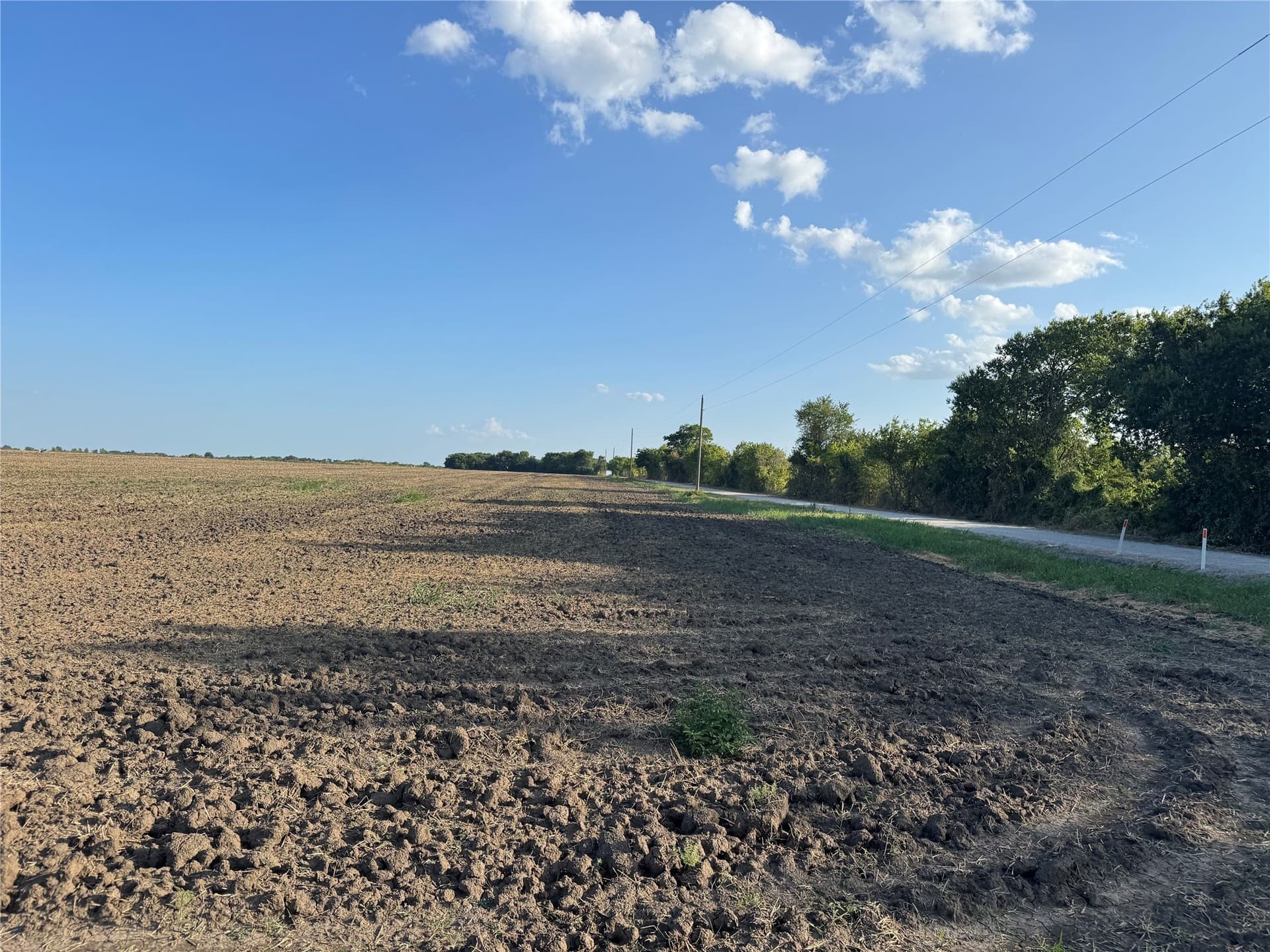 47.86 acres in Fannin County - photo 11