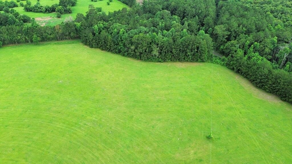 8 acres in Texas County - photo 7