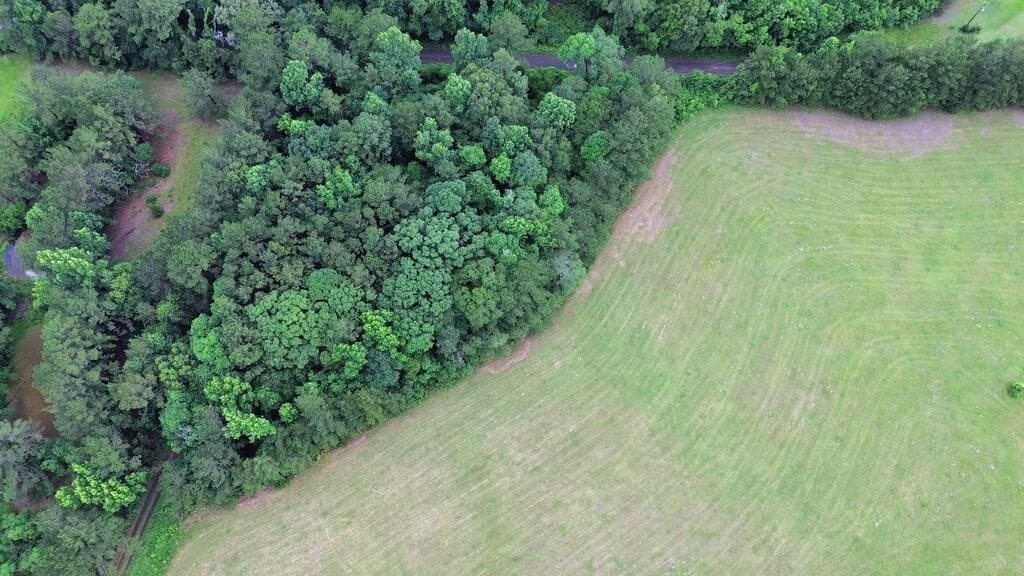8 acres in Texas County - photo 9