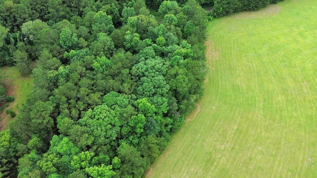 8 acres in Texas County - photo 5