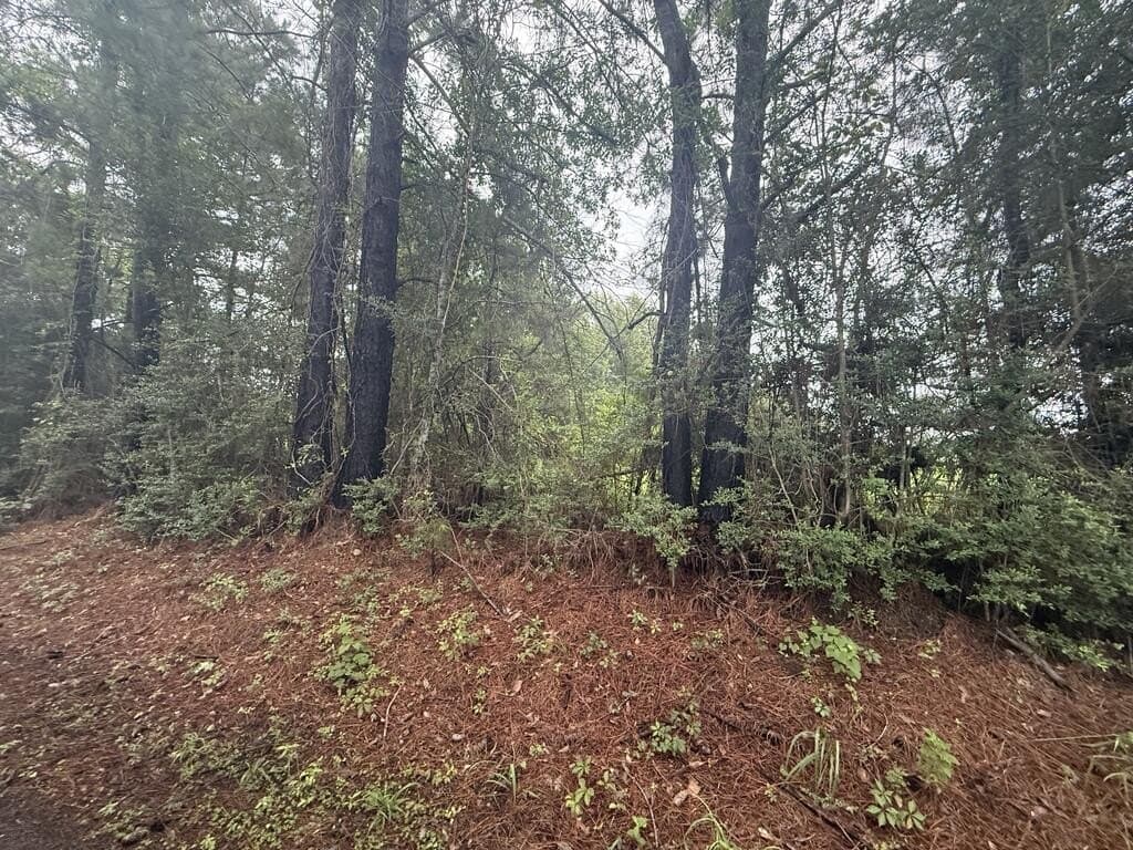 8 acres in Texas County - photo 12