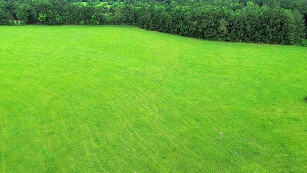 8 acres in Texas County - photo 3