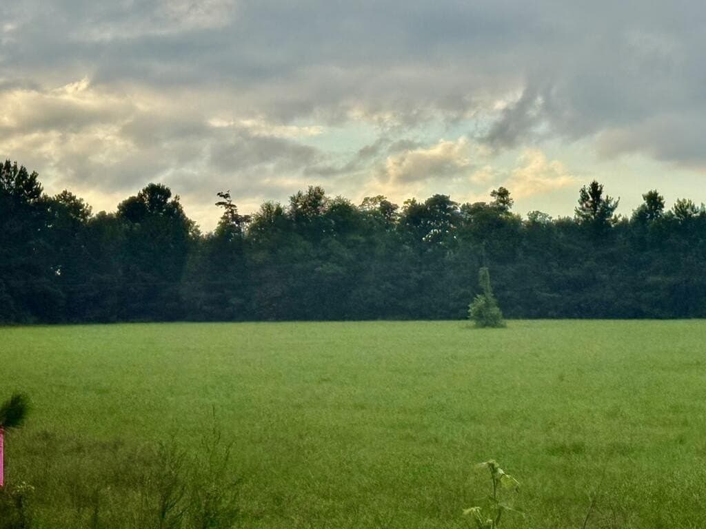 8 acres in Texas County - photo 14