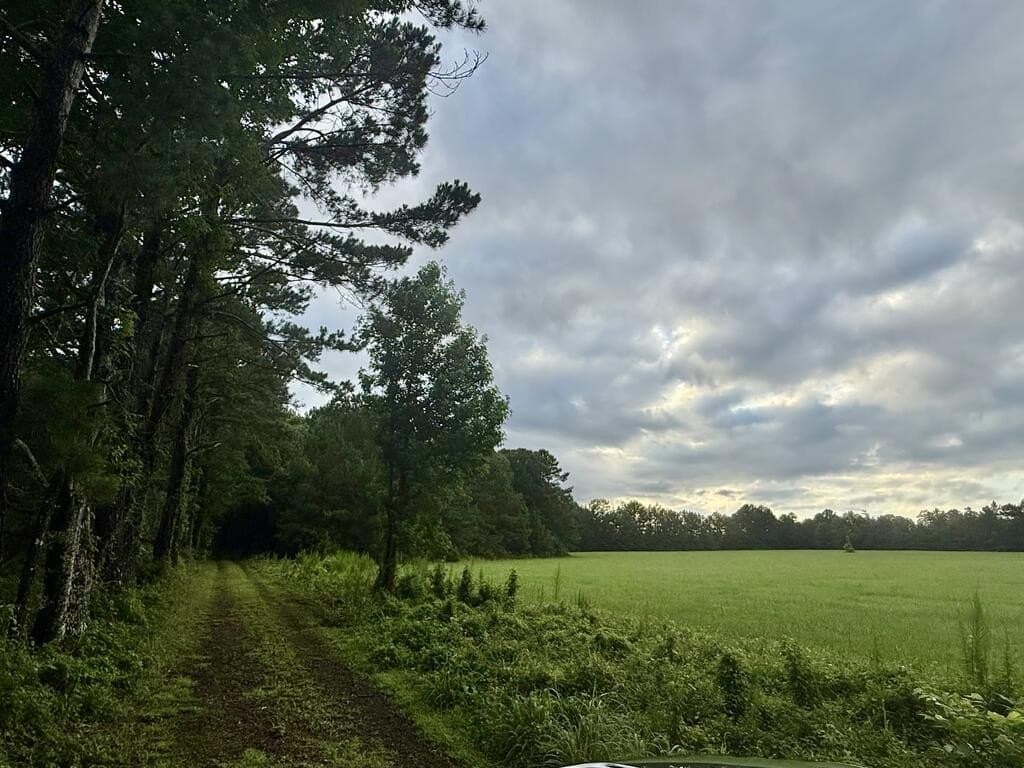 8 acres in Texas County - photo 15