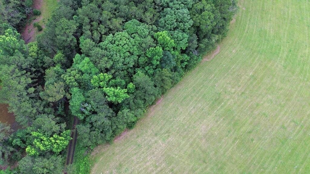 8 acres in Texas County - photo 10
