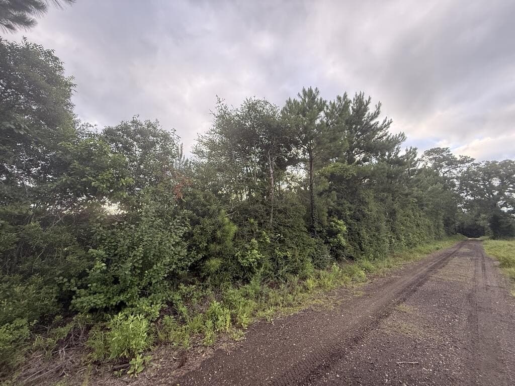 8 acres in Texas County - photo 16