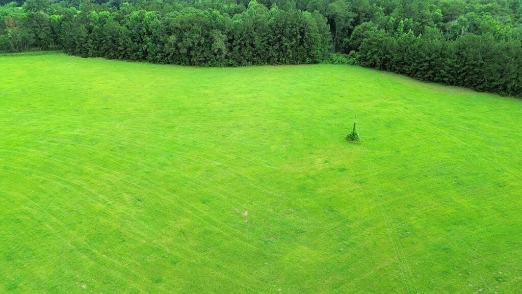 8 acres in Texas County - photo 4