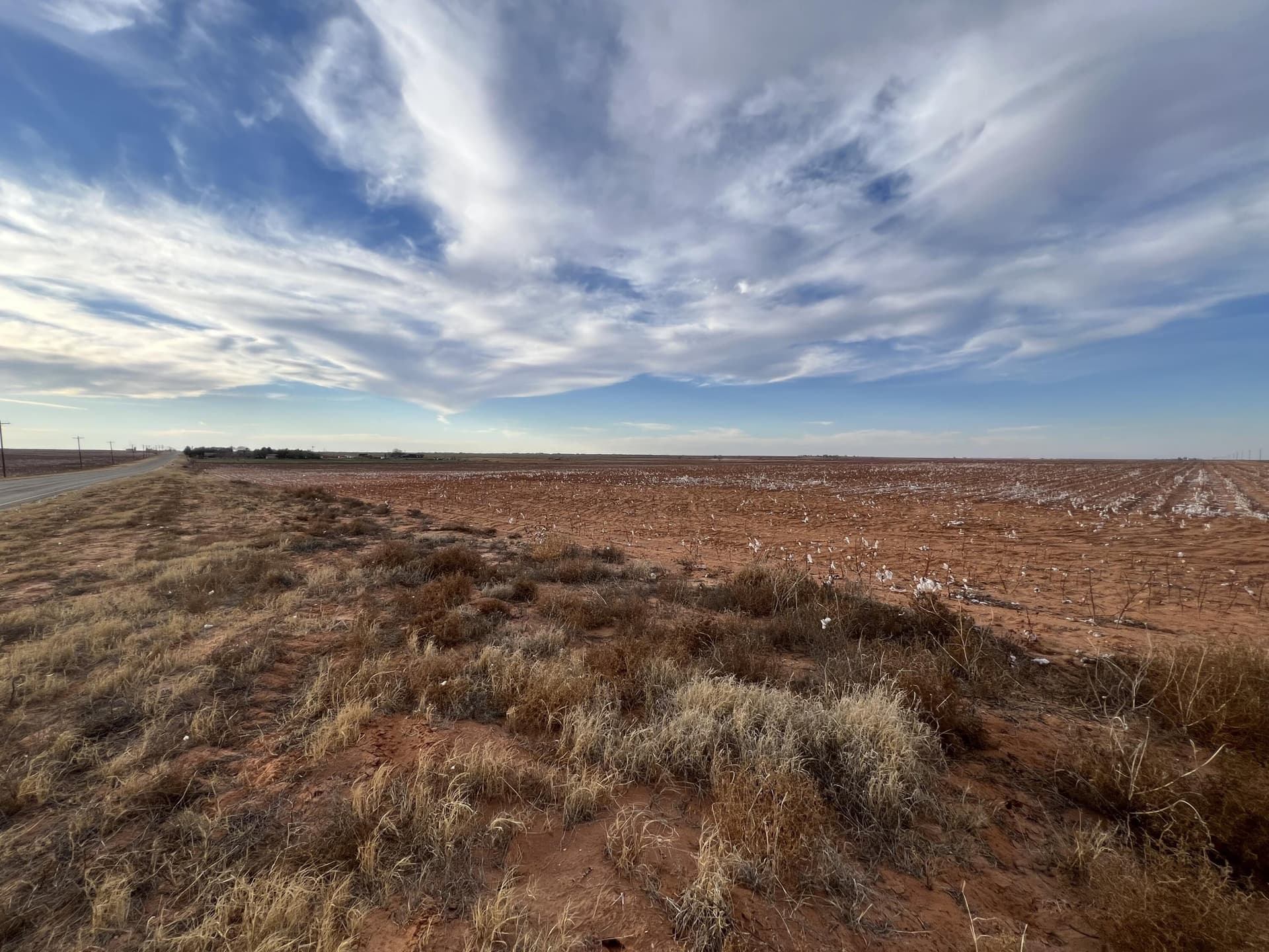 80 acres in Dawson County gallery image 4