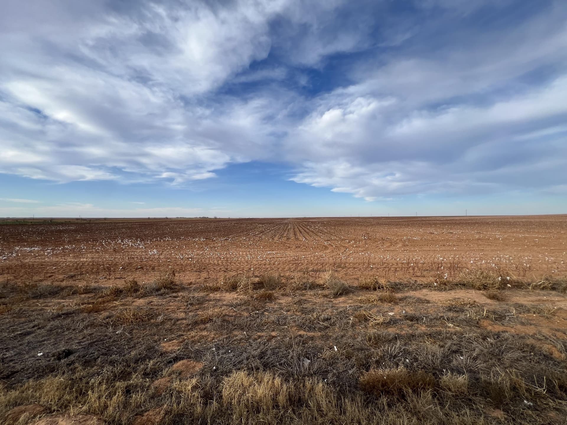 80 acres in Dawson County - photo 12