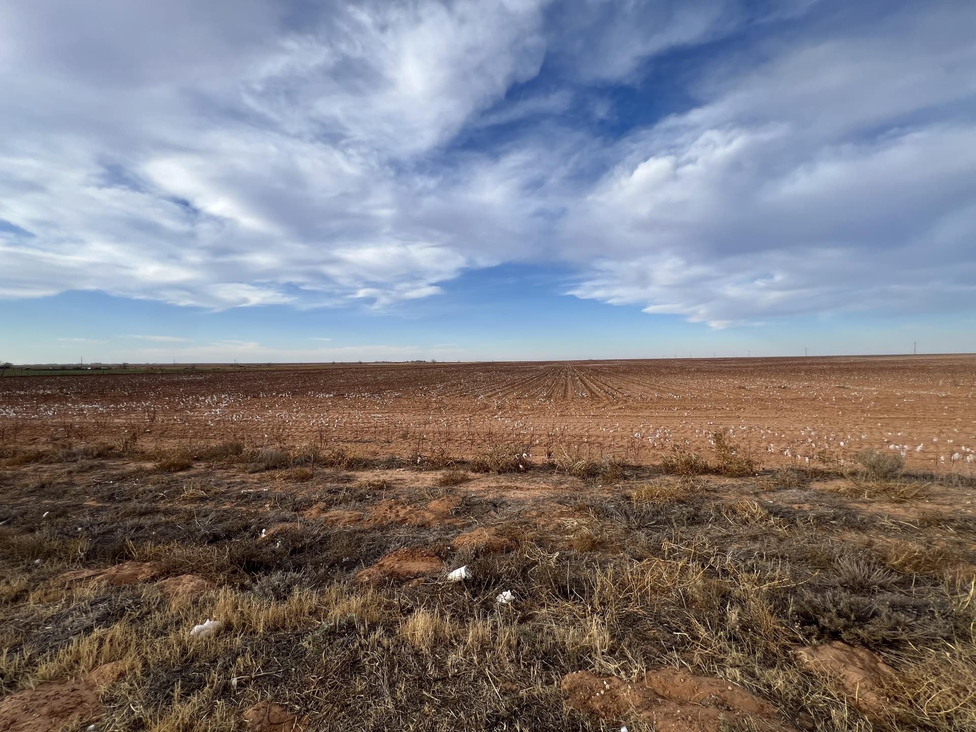 80 acres in Dawson County - photo 11