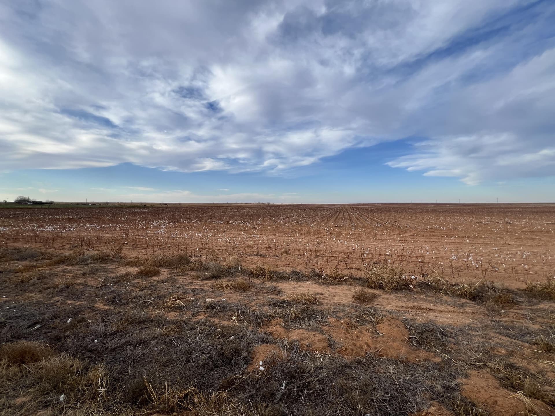 80 acres in Dawson County - photo 10