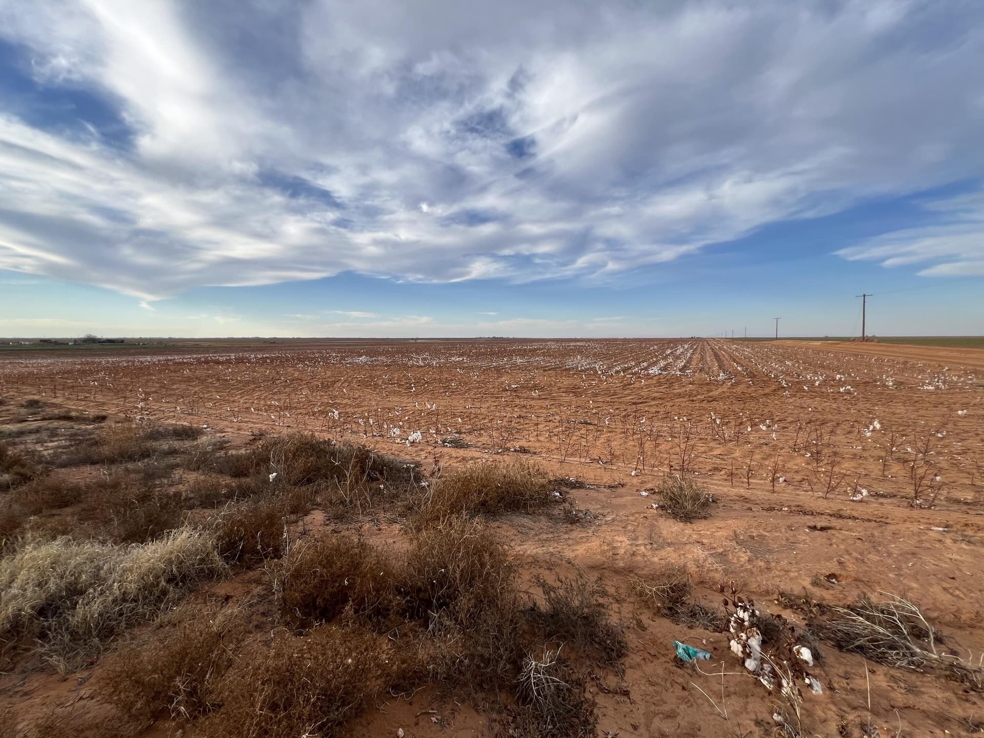 80 acres in Dawson County - photo 8