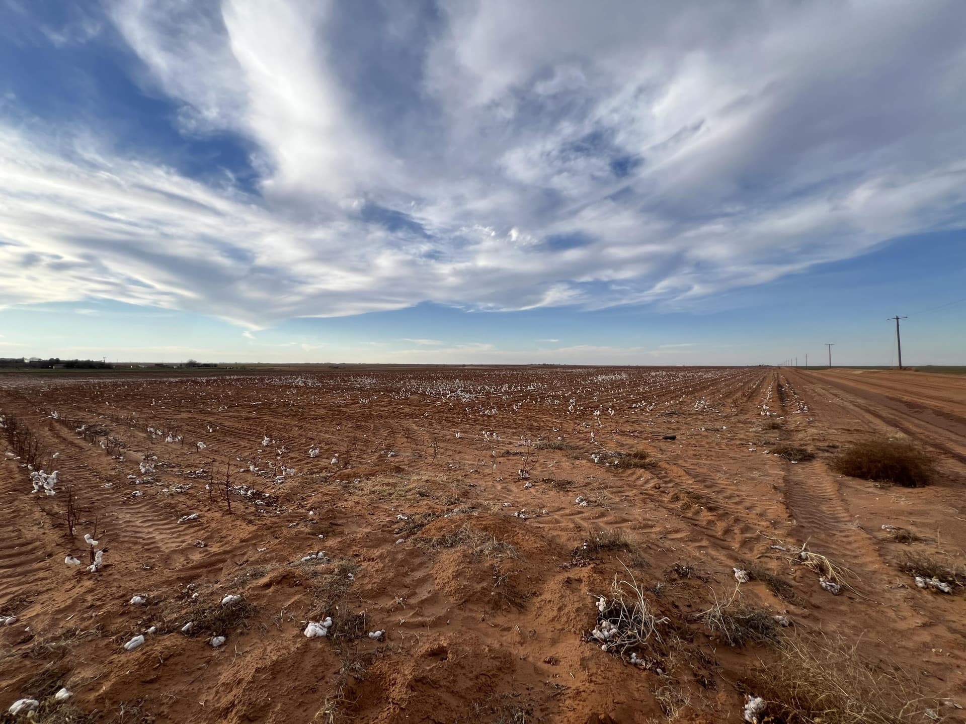 80 acres in Dawson County featured view