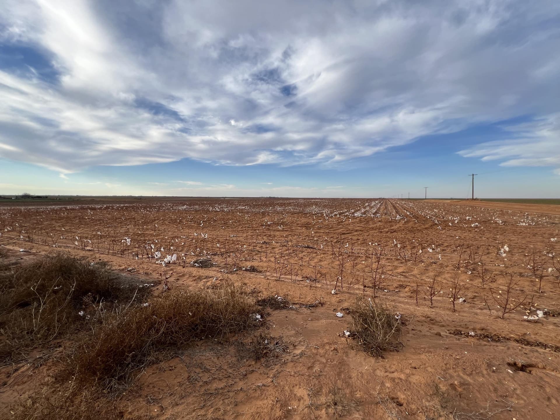 80 acres in Dawson County - photo 7