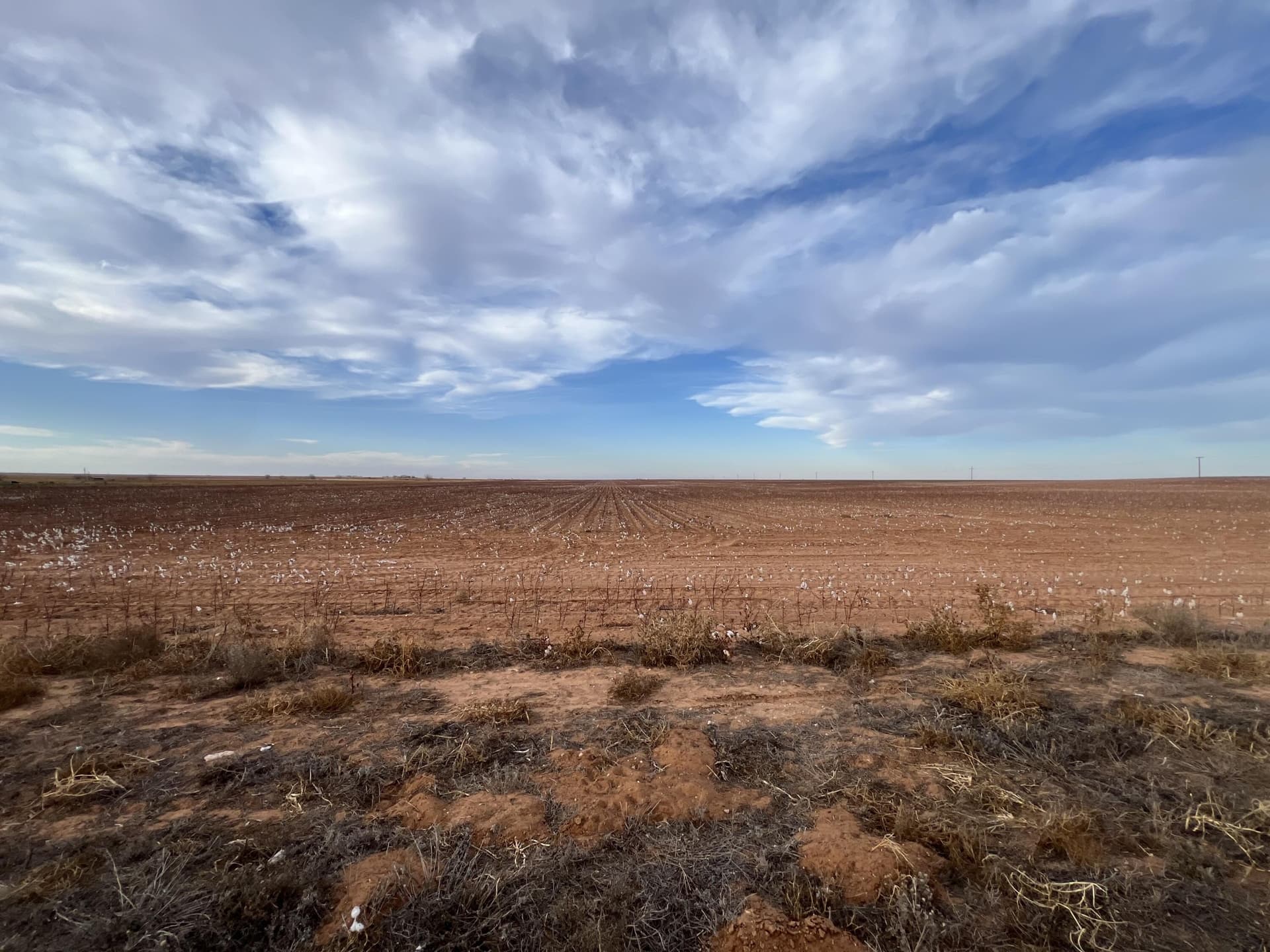 80 acres in Dawson County - photo 9