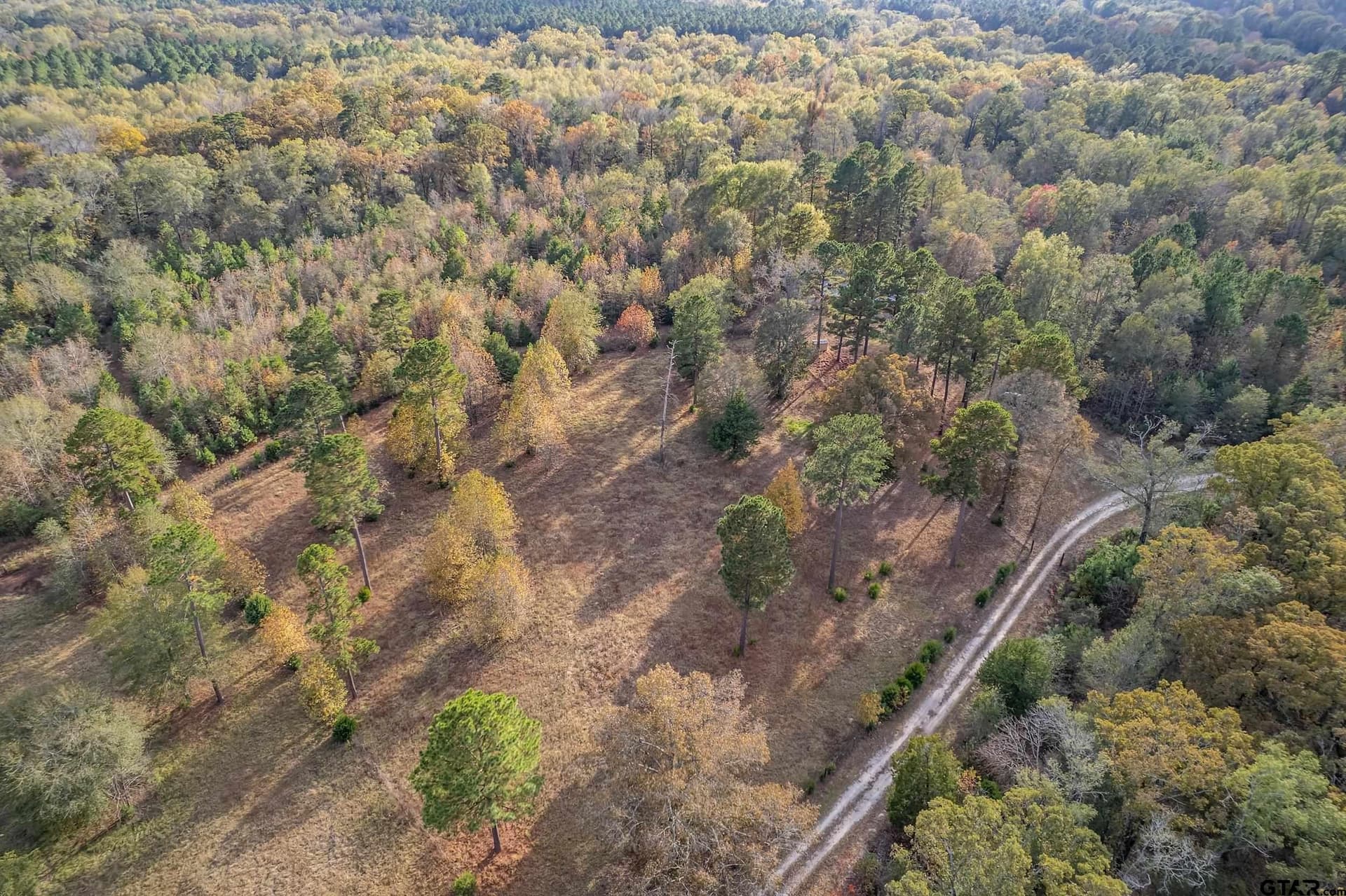 106.3 acres in Smith County - photo 15