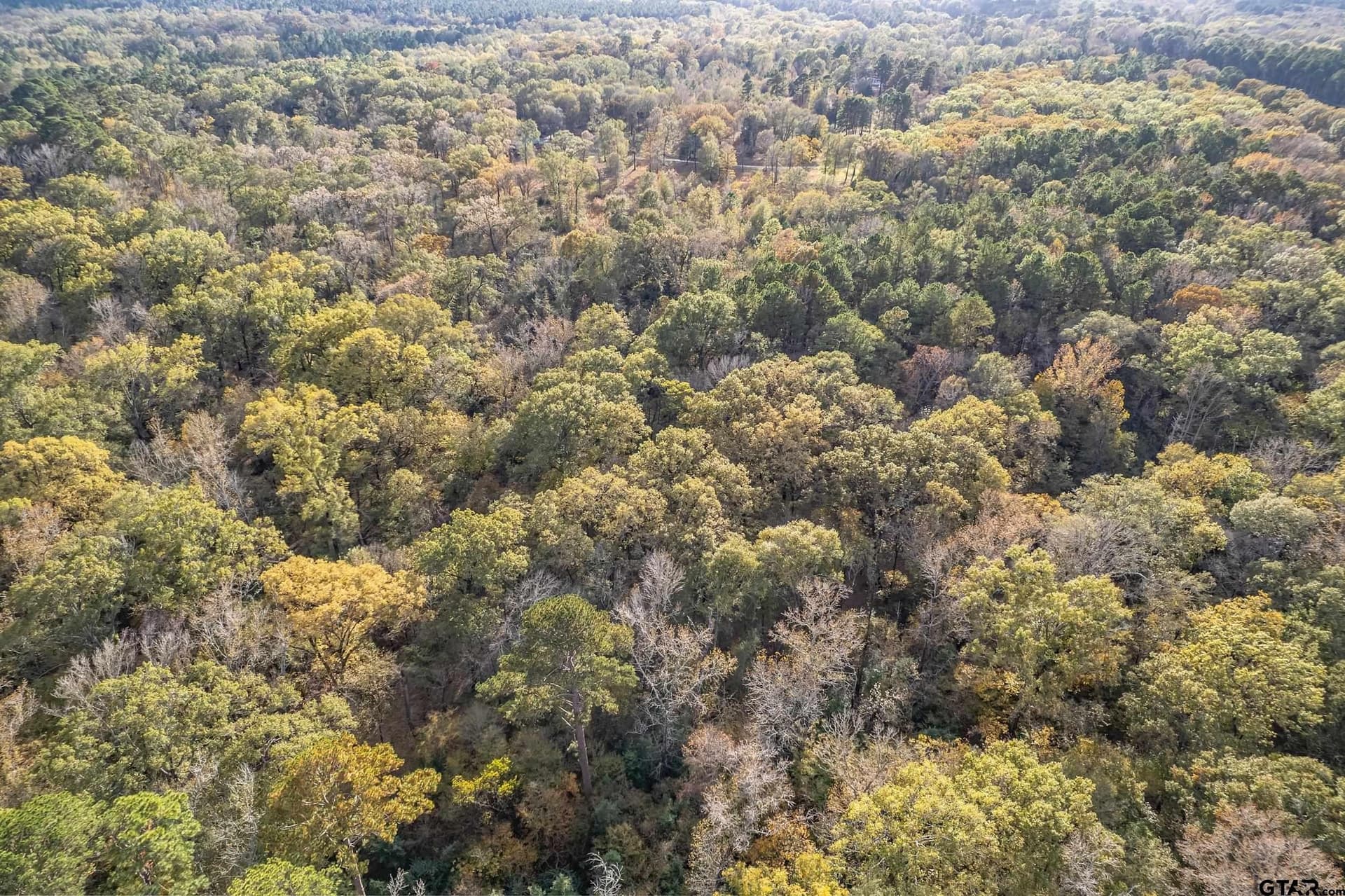106.3 acres in Smith County - photo 5