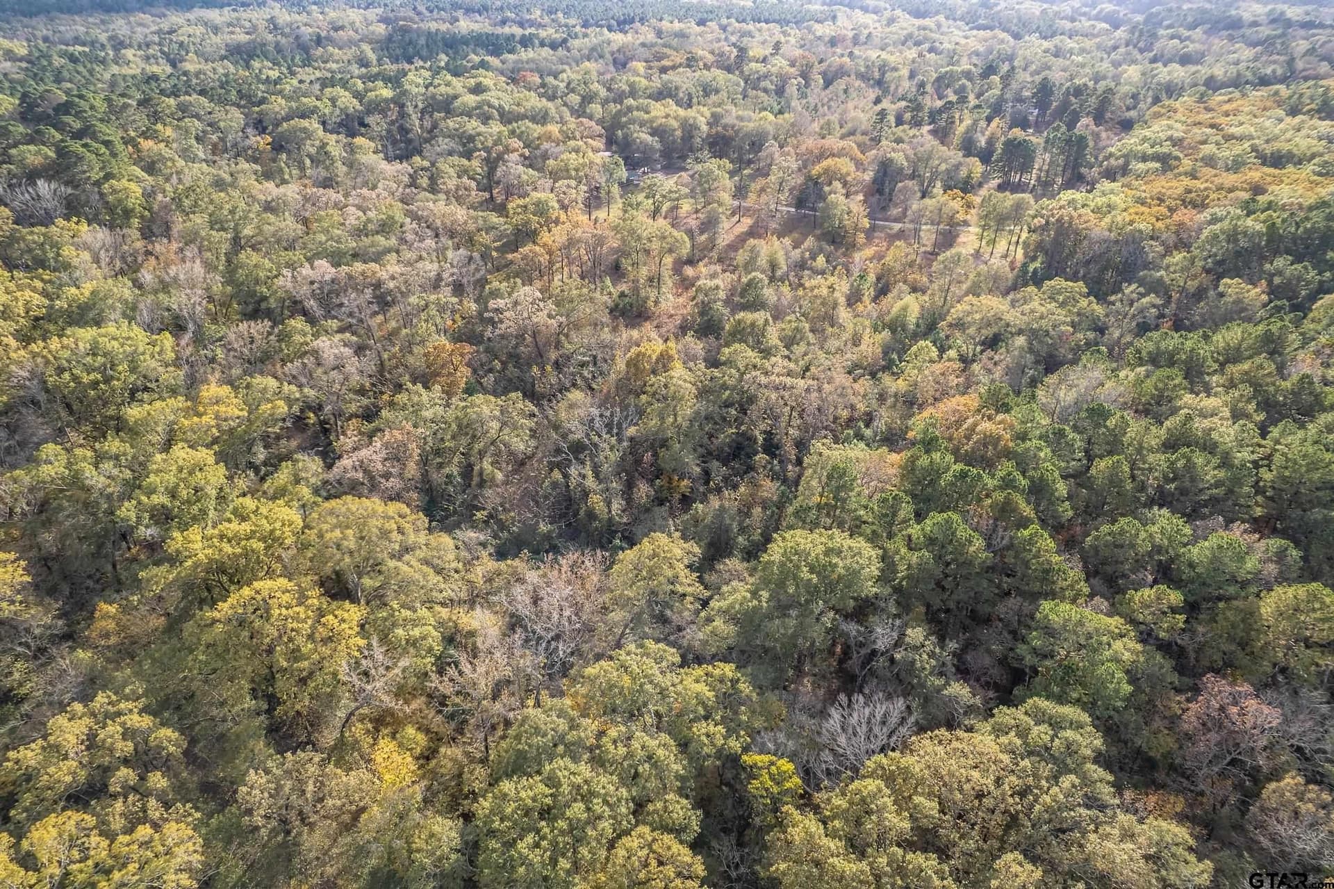 106.3 acres in Smith County - photo 13