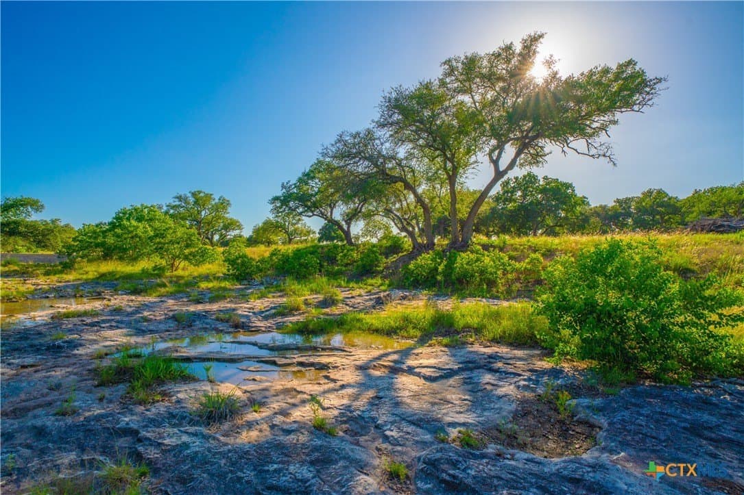 24 acres in Blanco County - photo 25