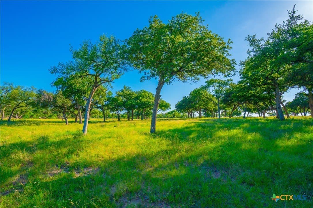 24 acres in Blanco County - photo 16