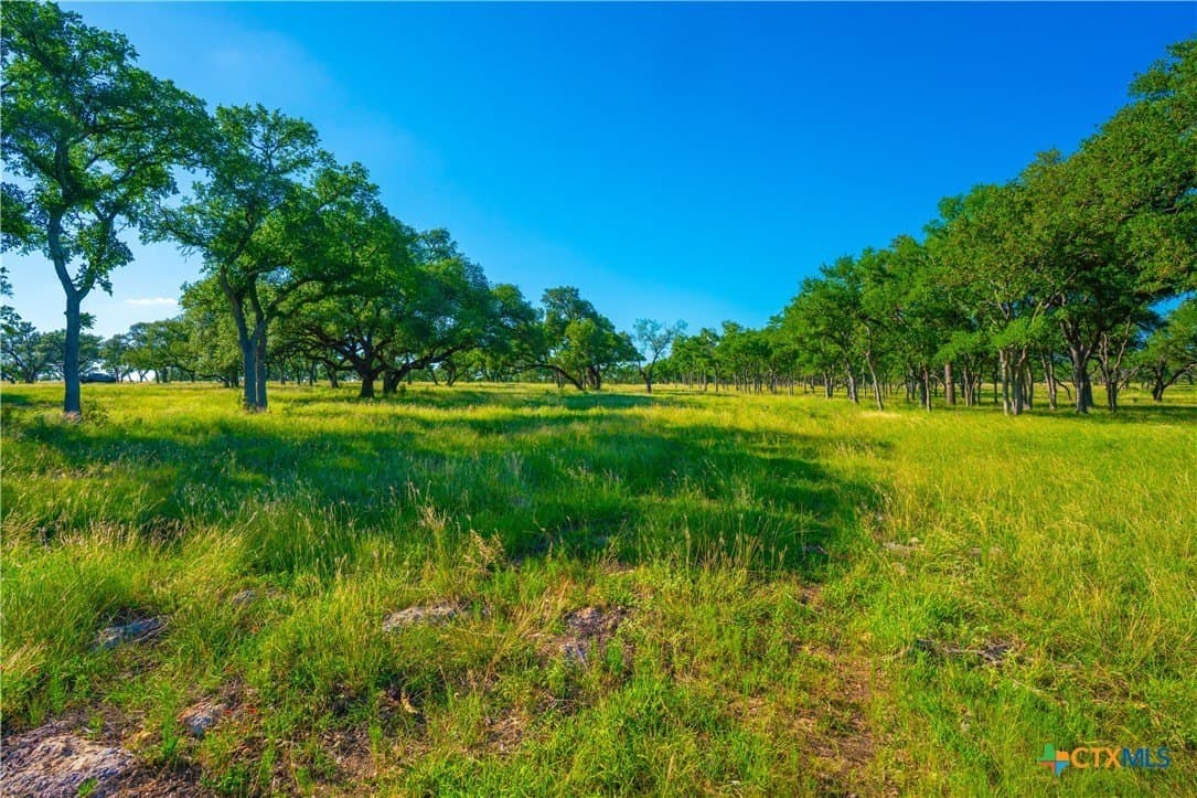24 acres in Blanco County - photo 14