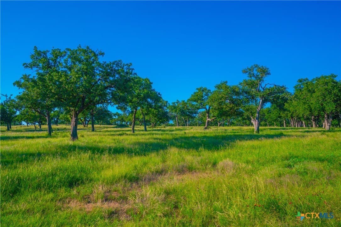 24 acres in Blanco County - photo 34