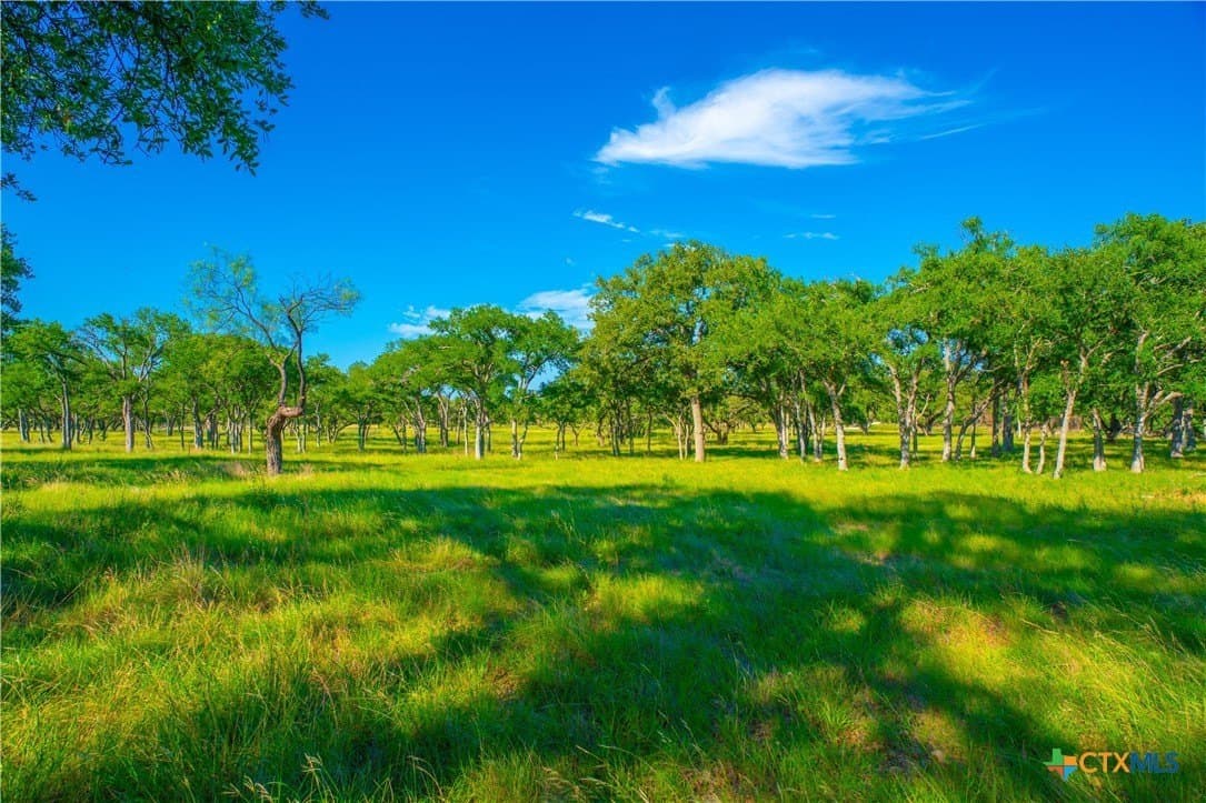 24 acres in Blanco County - photo 12