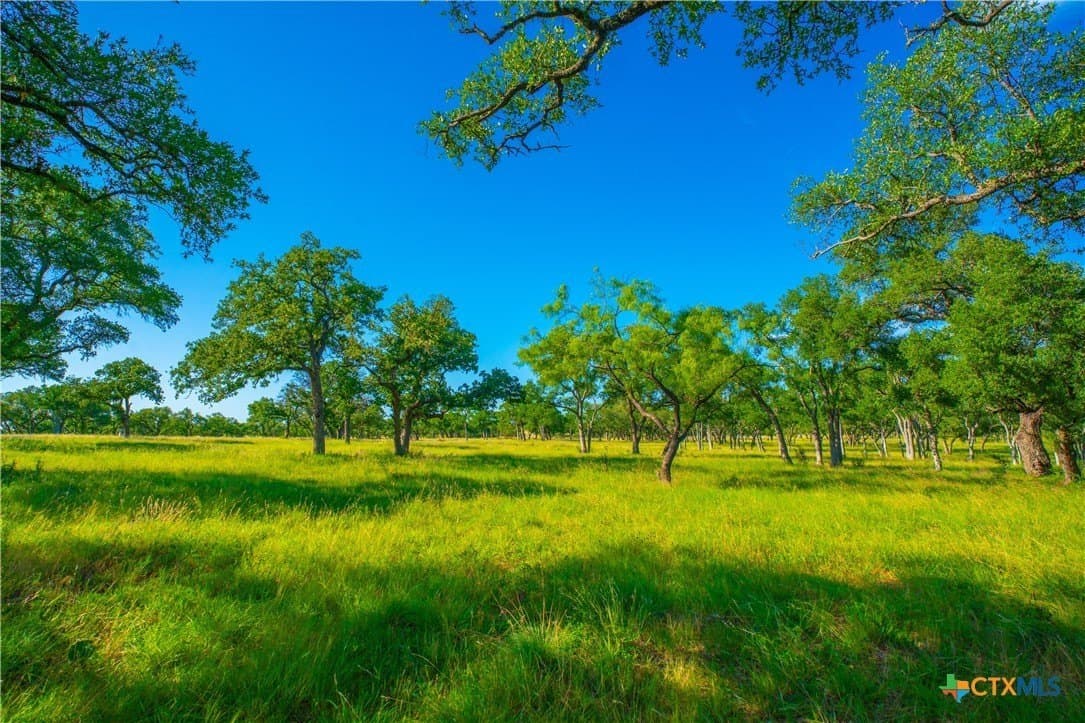 24 acres in Blanco County - photo 11