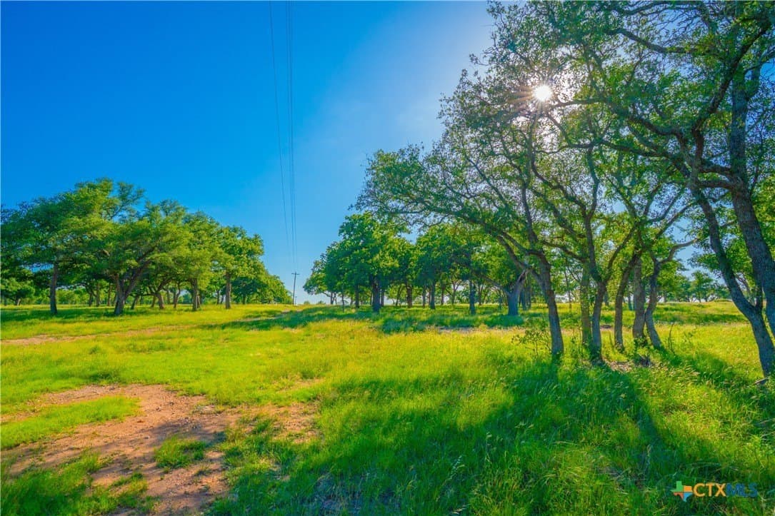 24 acres in Blanco County - photo 15