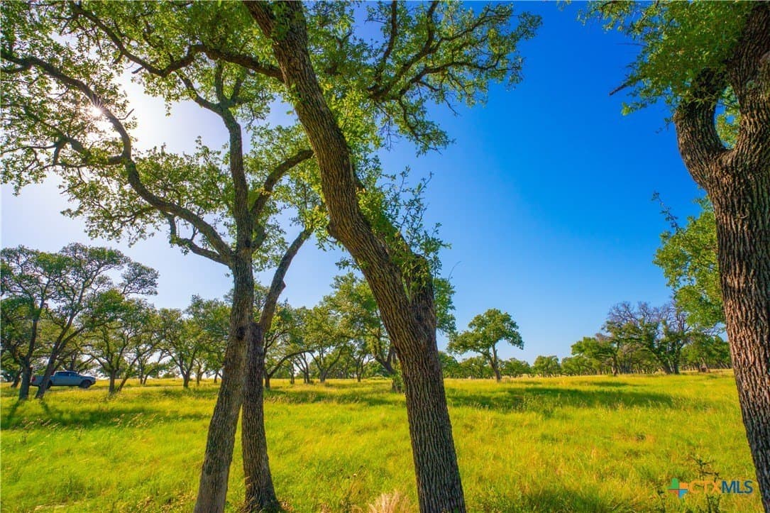 24 acres in Blanco County - photo 8