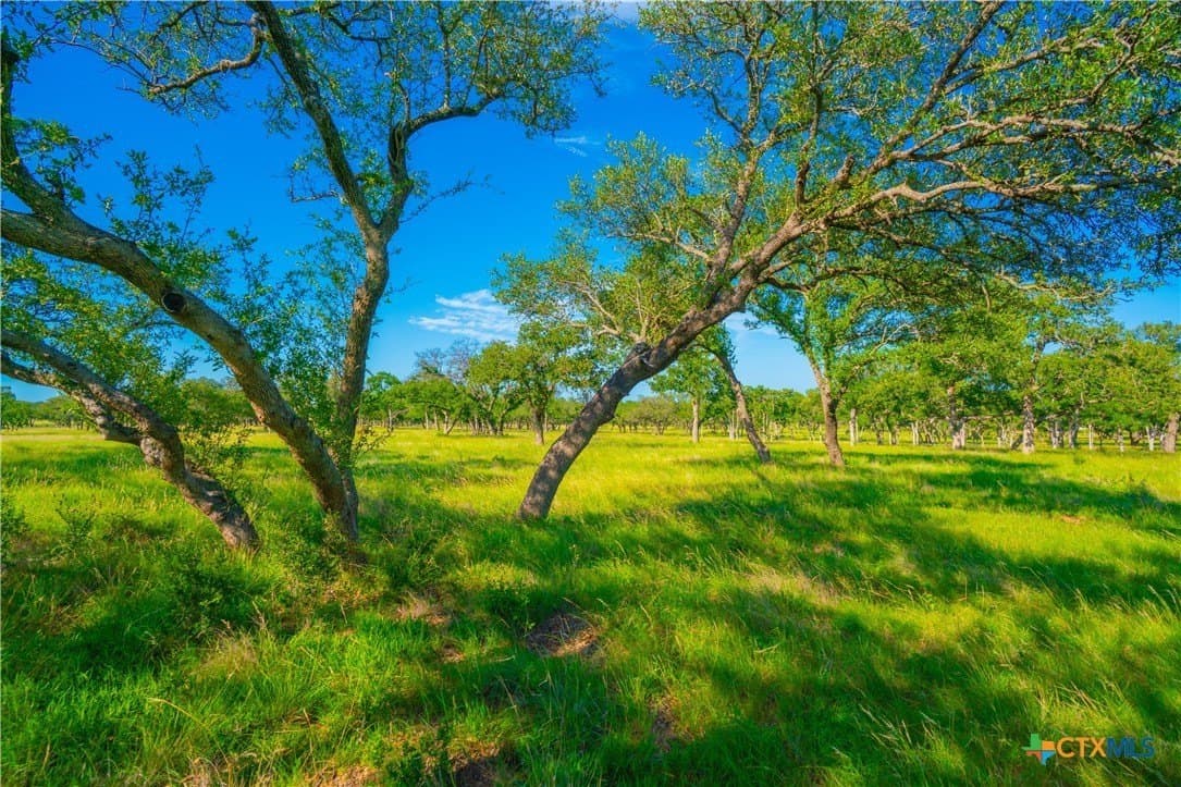 24 acres in Blanco County - photo 5