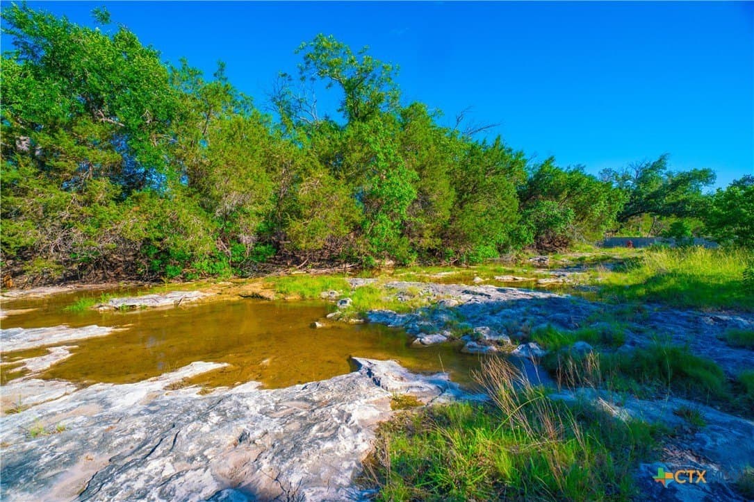 24 acres in Blanco County - photo 21