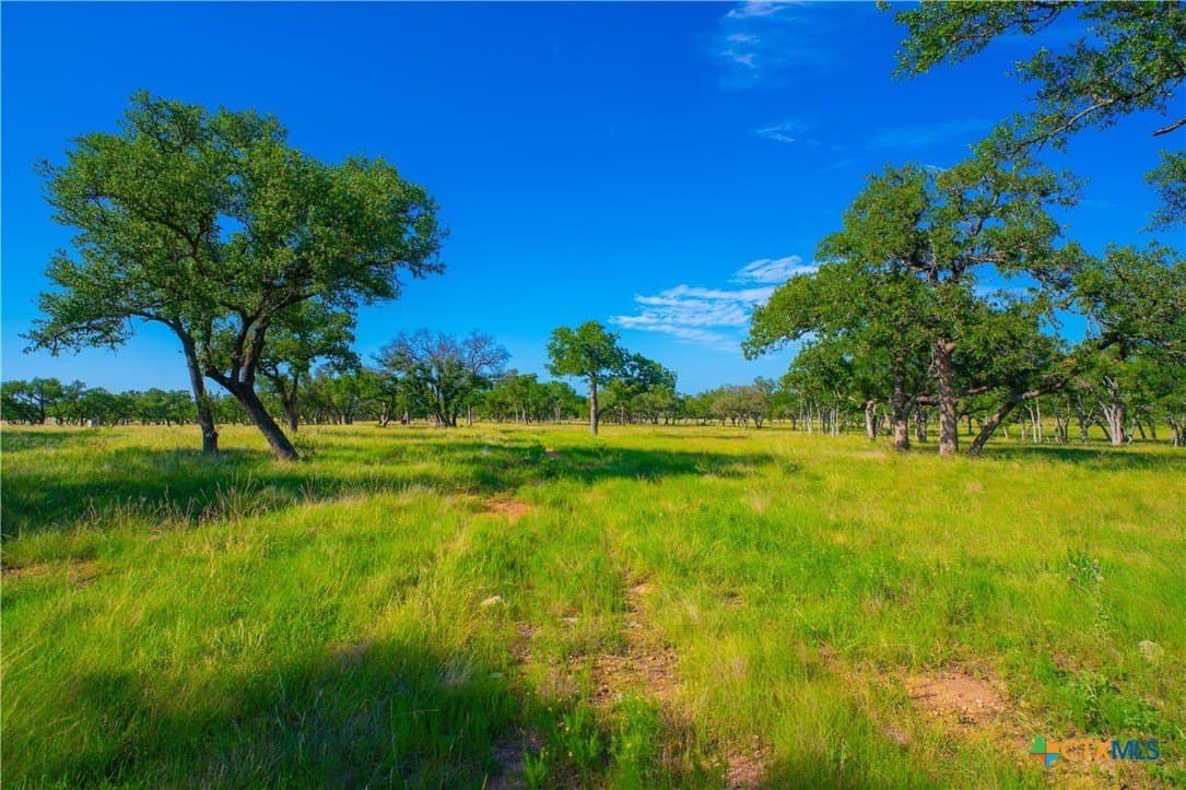 24 acres in Blanco County - photo 7