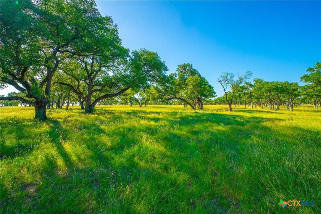 24 acres in Blanco County - photo 13
