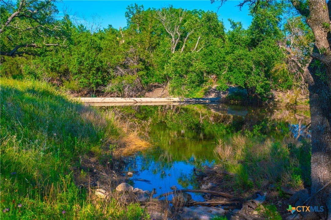 24 acres in Blanco County - photo 32