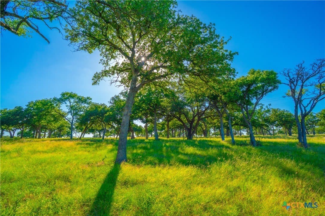 24 acres in Blanco County - photo 17